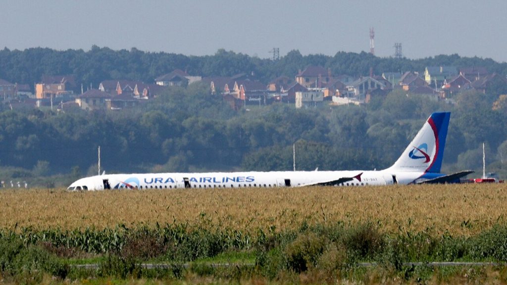 Russian pilot hailed after 'miracle' landing of passenger jet following bird strike