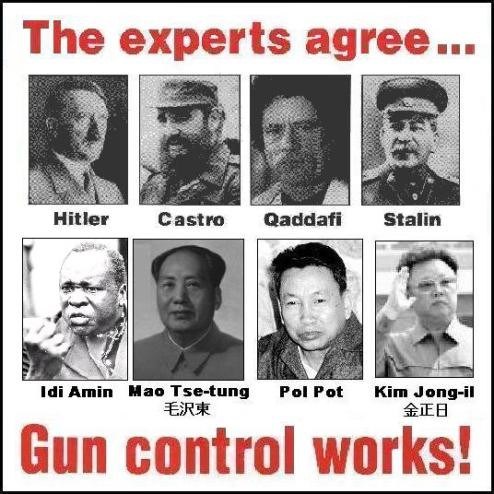 The Role of Gun Control in Dictatorship