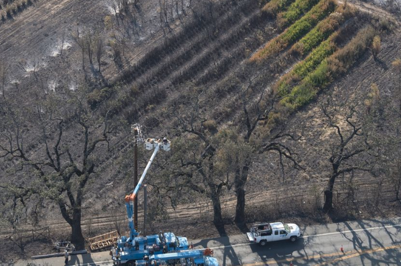 It Took PG&E 8 Months To Prune A Tree Where Leaves Had Already Been Burnt By Power Lines "Inches Away"