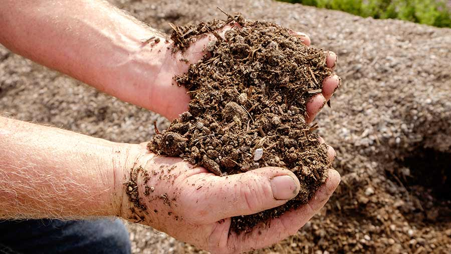 Award-winning grower explains strategy for top notch soils