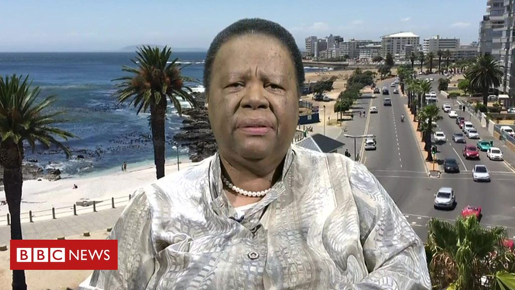 Stranded abroad: 600 South Africans brought home, more than 3 000 still waiting - Pandor