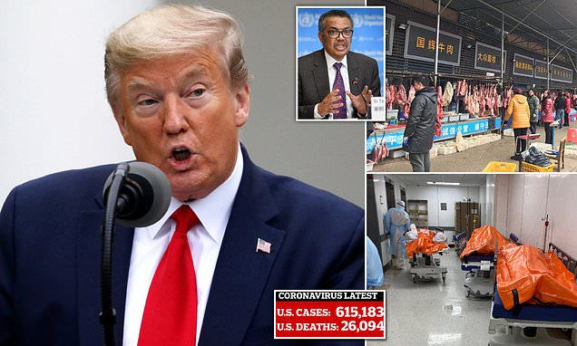 Beijing warns it is 'seriously concerned' about US decision to suspend $500m WHO funding after Donald Trump accused the health body of 'accelerating the pandemic' by opposing his China travel ban