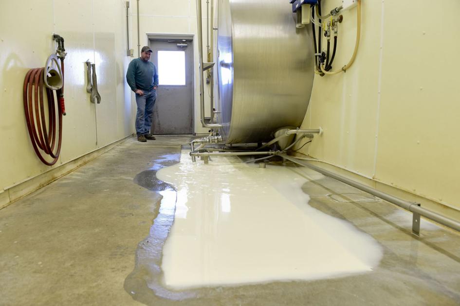 farmers dumping milk
