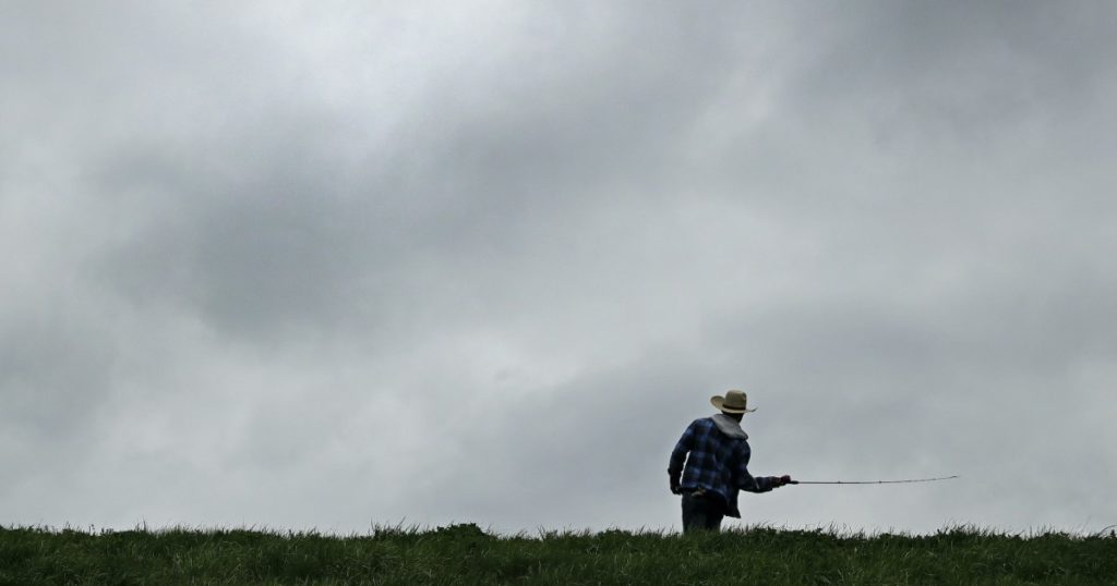 Missouri farmers struggle amid COVID-19 pandemic