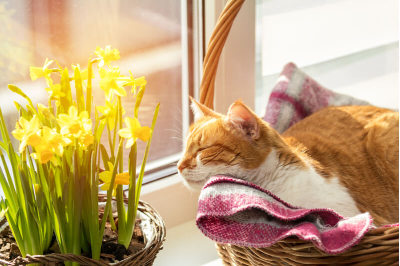 8 tips for saving energy this spring during COVID-19 lockdowns