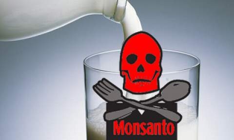 Monsanto & Cancer Milk: FOX NEWS KILLS STORY & FIRES Reporters