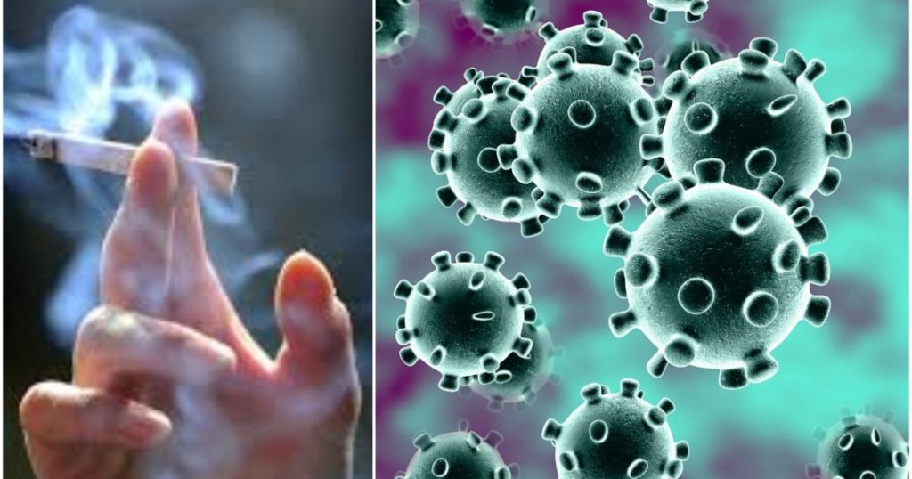 Study Indicates That Smokers are Less Likely to Contract Coronavirus Because of Nicotine’s Effect on Lungs