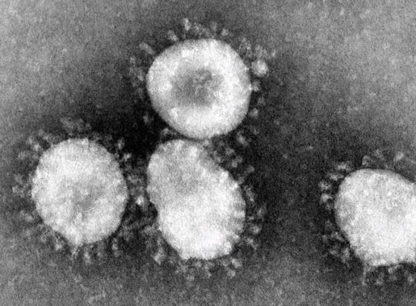 EXCLUSIVE: Three Reasons the China Coronavirus Incidence and Mortality Counts Reported by the CDC Are Likely Fraudulent