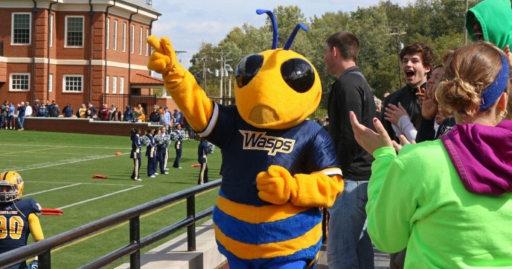 Virginia College May Change Mascot Because 'Wasps' Isn't Inclusive