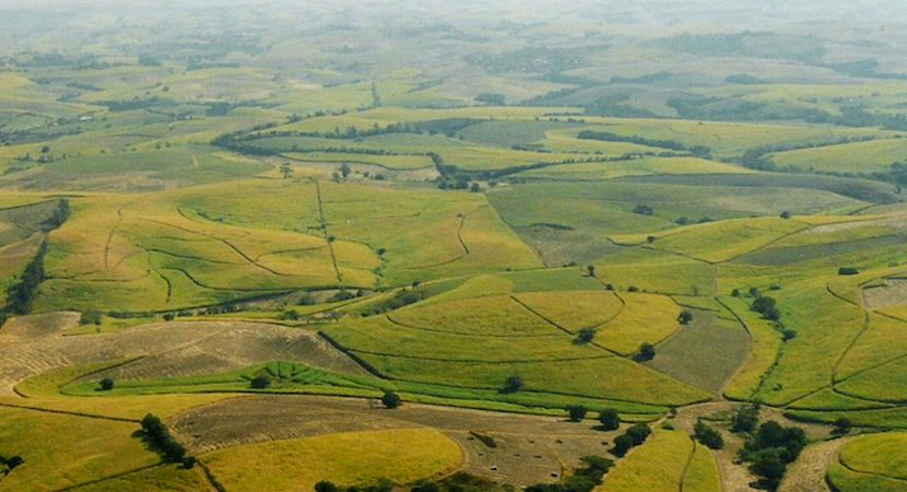 South Africa takes a step closer to land expropriation – but opponents say it can’t afford it, after the coronavirus