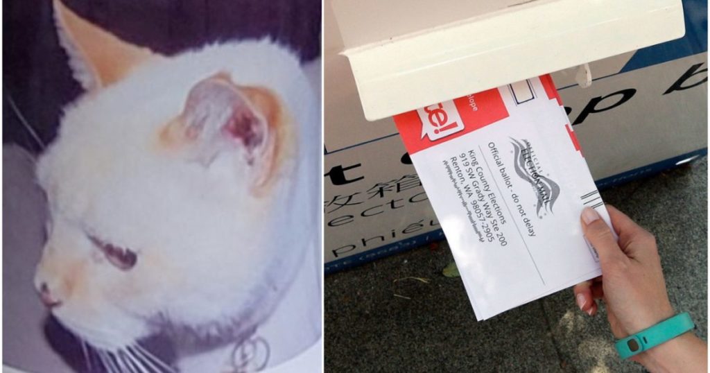 ELECTORAL FRAUD: Deceased Cat Receives Voter Registration Through the Mail in Atlanta