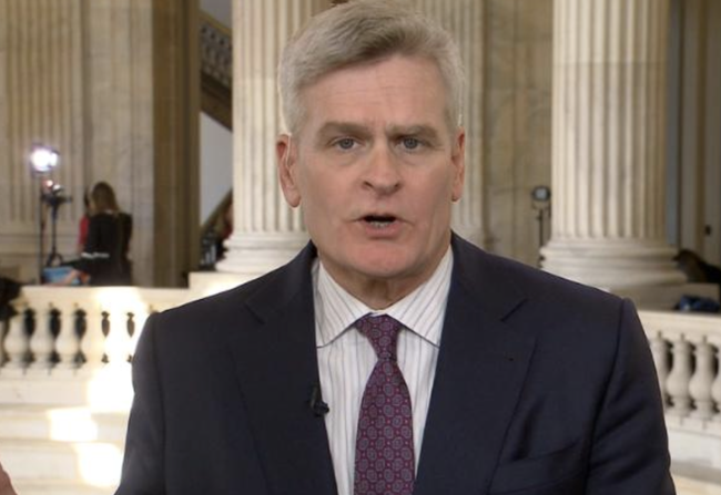 Bill Cassidy Becomes 2nd Senator To Test Positive For COVID-19: Live Updates