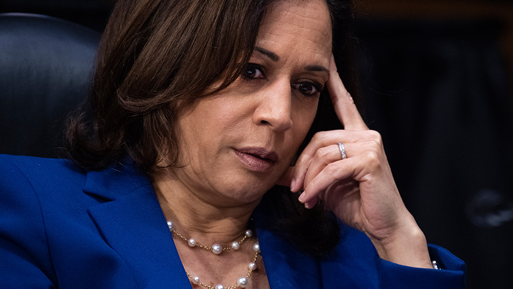Tyrannical techno-fascist corporation Google is a major contributor to Kamala Harris, proving there’s a lot more censorship to come if Biden wins