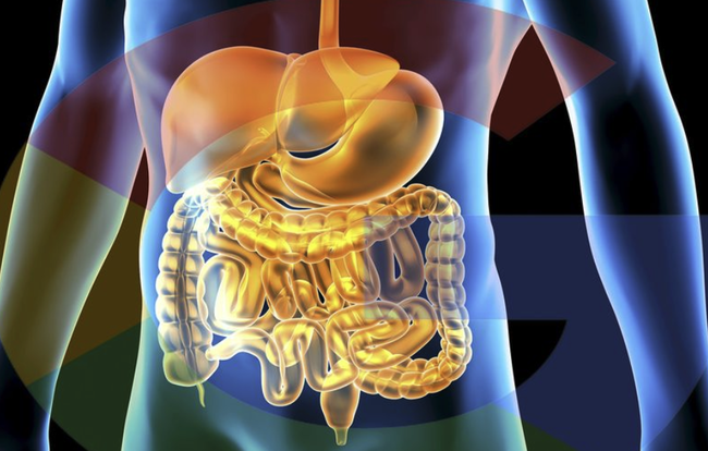 New Research Shows Google Searches For COVID-19 Stomach Symptoms May Predict Outbreaks