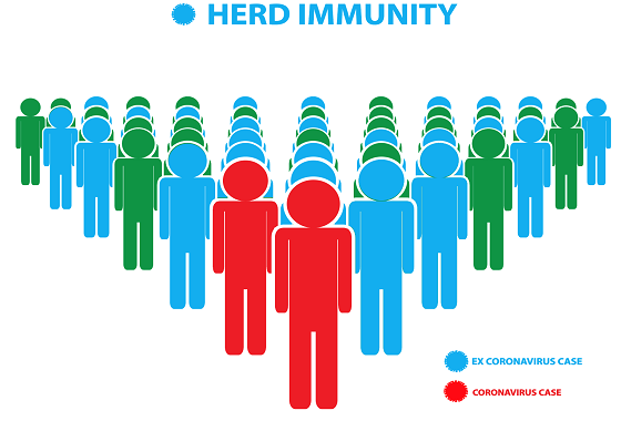 US COVID Herd Immunity Calculated At 12% Of The Population