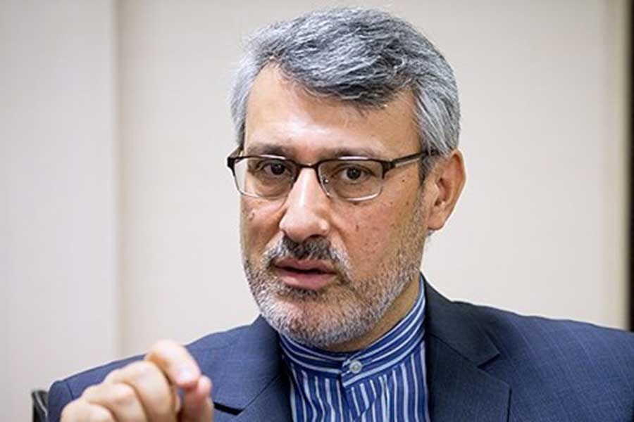 Ambassador says US could not prevent Iran arms embargo expiry