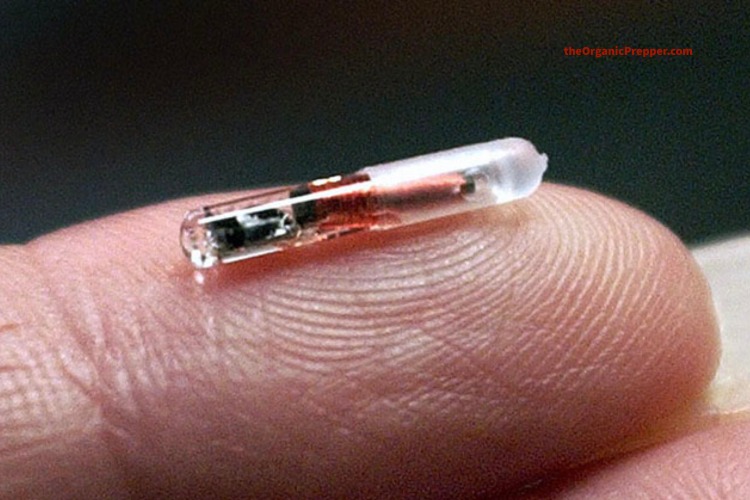 The Microchip Is HERE: DARPA Biochip to “Save” Us from COVID Can Control Human DNA