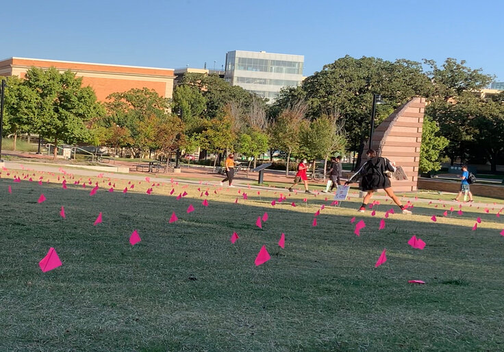 Activists Vandalize Pro-Life Memorial at University of North Texas
