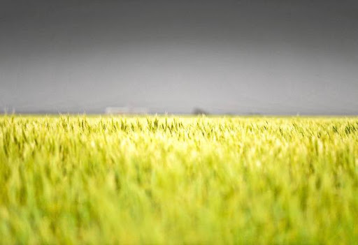 LETTER: Municipalities get the nod to grab land