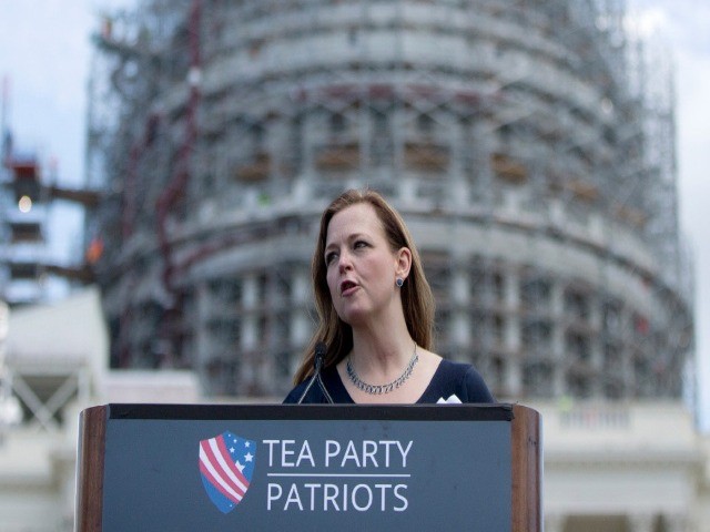 Tea Party Patriots to Hold ‘Protect the Vote Protests’ Across Country on Thursday