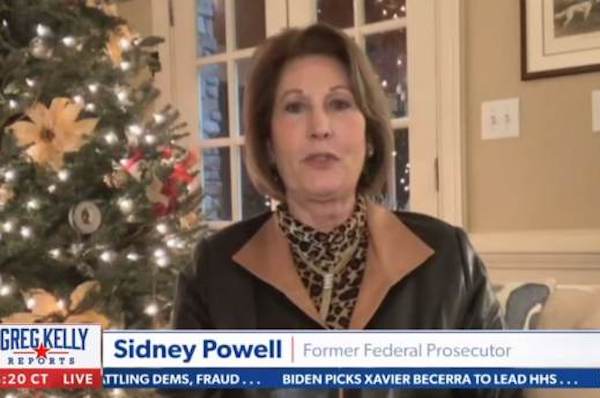BREAKING: Sidney Powell Sounds the Alarm, Announces Emergency Filings in Key Swing States