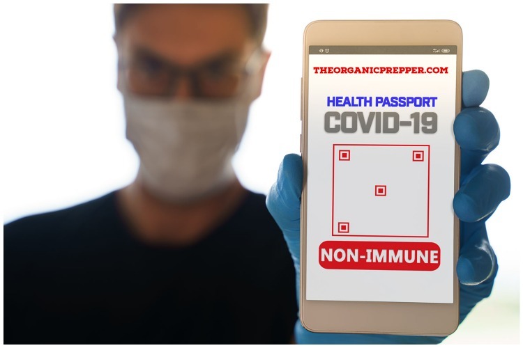 Vaccine Passports and Health Passes: Is Showing Your “Papers” the “New Normal?”