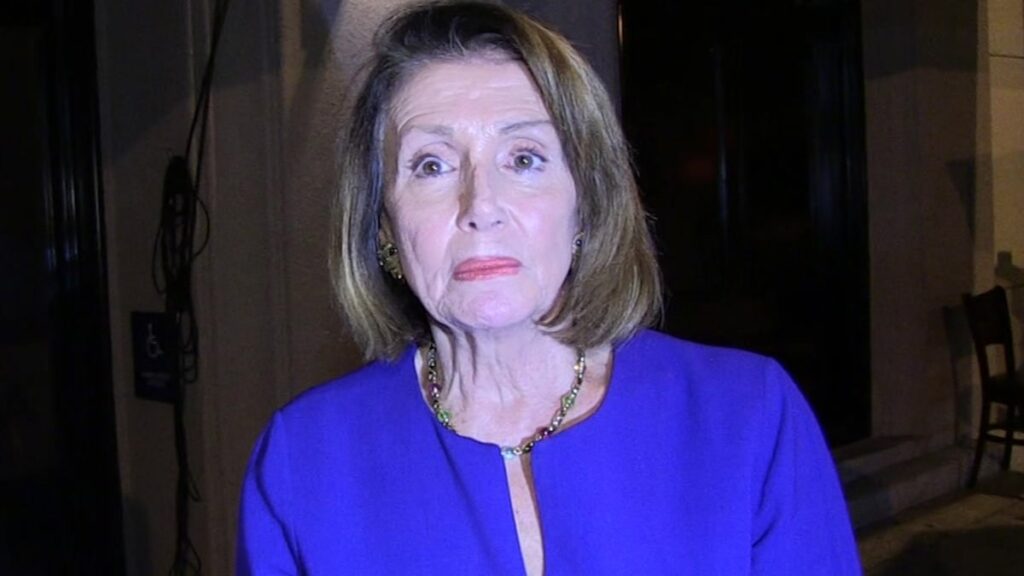 NANCY PELOSI HOME VANDALIZED WITH PIG'S HEAD, FAKE BLOOD ... Anger Over Stimulus???