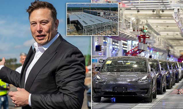 Elon Musk says he WON'T get a coronavirus vaccine because he's 'not at risk' and says the pandemic has 'questioned my faith in humanity' because people have become 'irrational'