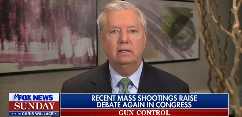 WATCH: Lindsey Graham brags about his AR-15 and DARES Schumer to try ‘assault weapons’ ban.