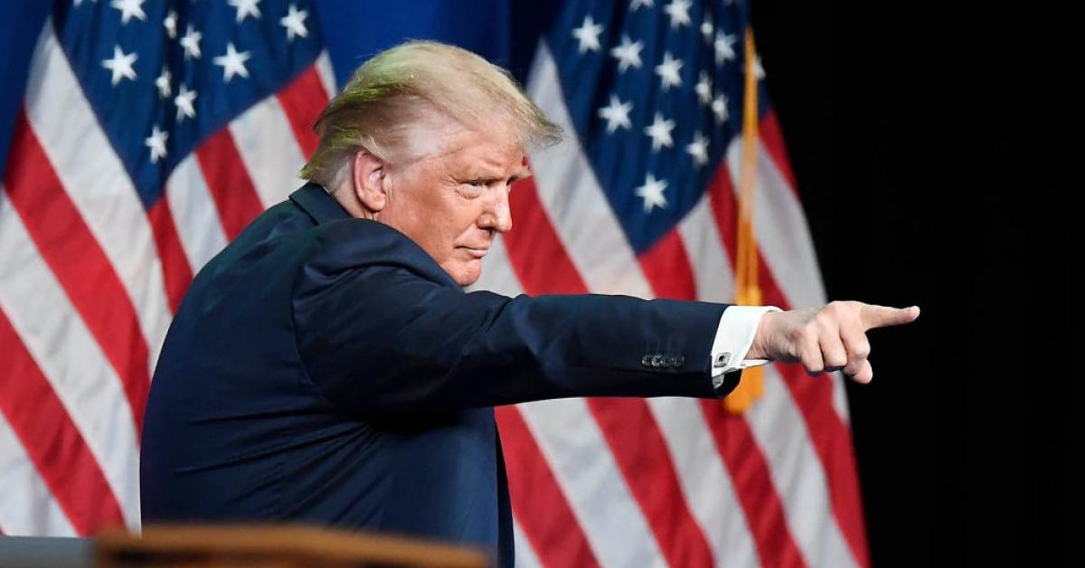 Jellyfish.NEWS - Trump - Talk show host blames Trump for mass