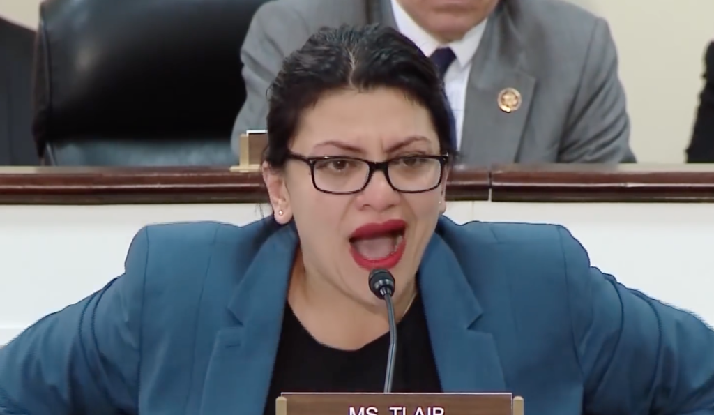 What could go wrong? Squad member Rep. Tlaib calls for end of US policing, which she says is ‘intentionally racist’