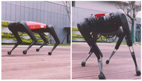 China Unveils "AlphaDog" - An Affordable Alternative To The Terrifying "Robo-Dog"