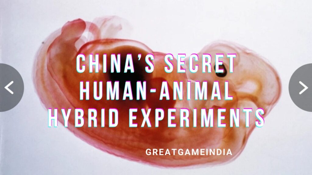 China’s Secret Human Animal Hybrid Experiments