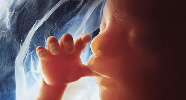 Demonic: Biden to Ramp Up Experiments Using Aborted Baby Body Parts