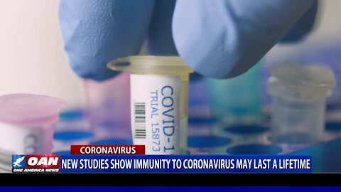 New Studies Show Immunity To COVID-19 May Last A Lifetime
