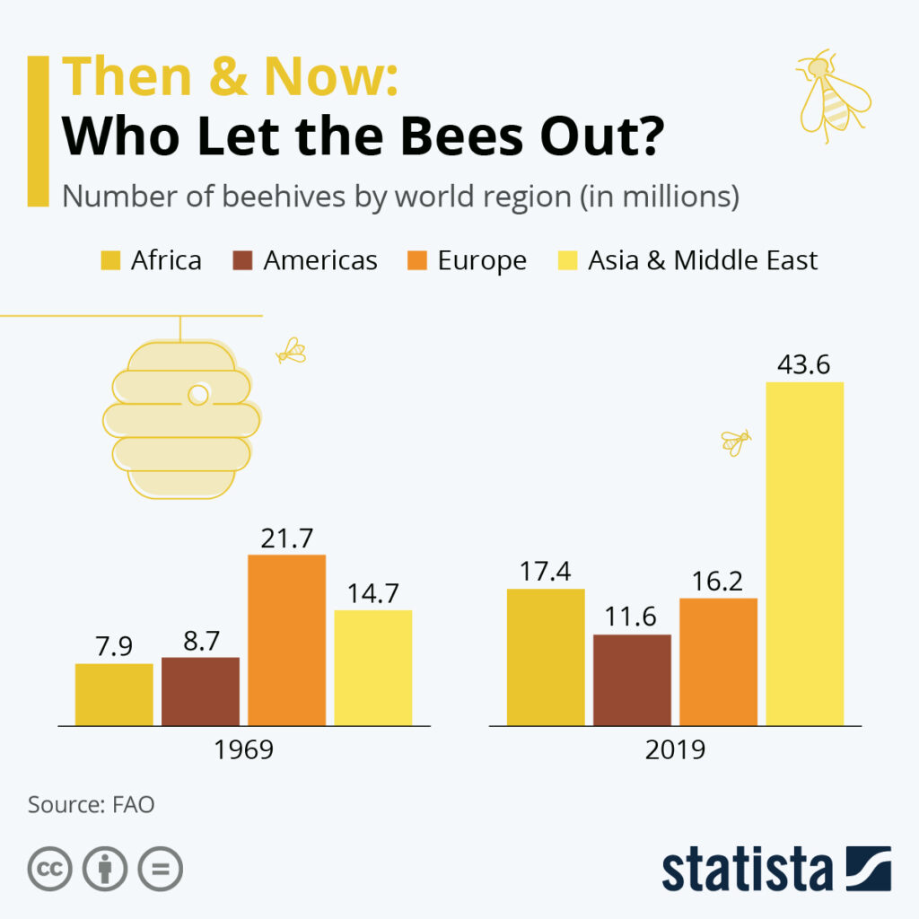Who Let The Bees Out?