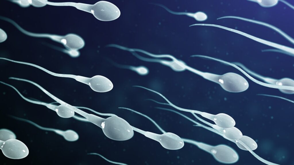 Brink of a fertility crisis: Scientist says plummeting sperm counts caused by everyday products