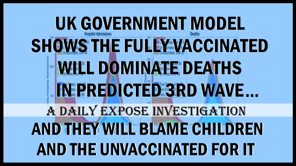 Investigation – UK Government model states the fully Vaccinated will dominate Deaths in 3rd wave and they will blame Children and Unvaccinated for it