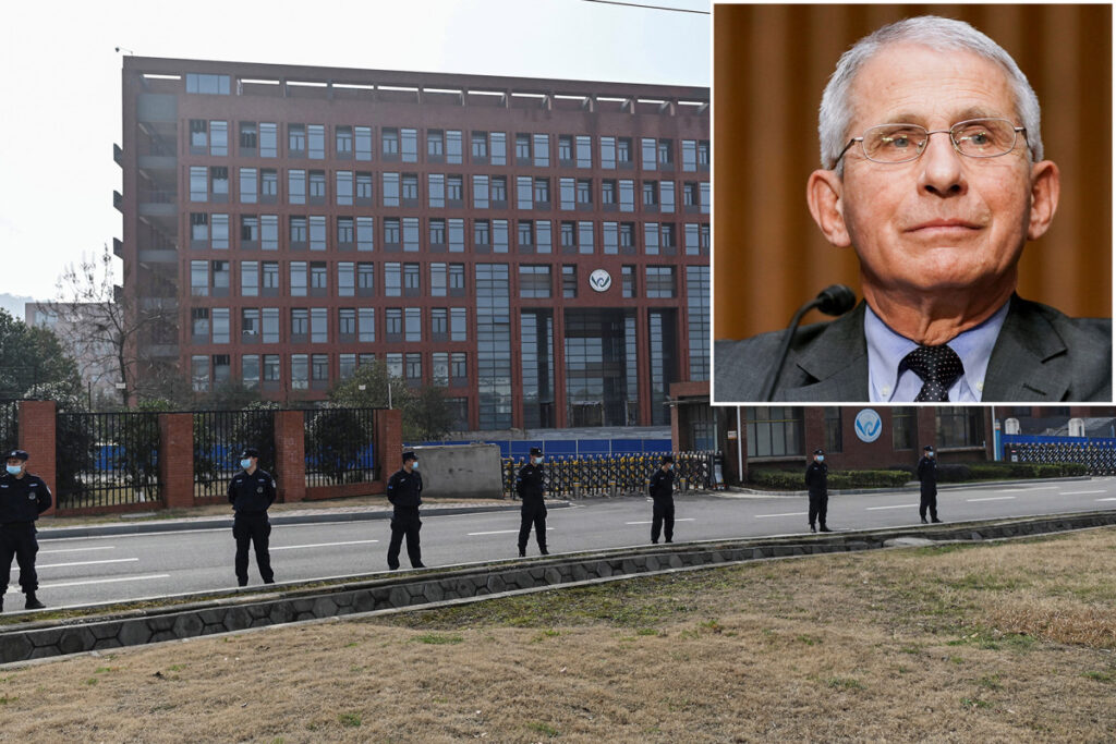 Fauci admits ‘modest’ NIH funding of Wuhan lab but denies ‘gain of function’