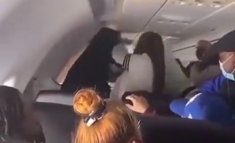 Violent Fight Breaks Out Midflight – Flight Crew Threatens to Land Plane (VIDEO)