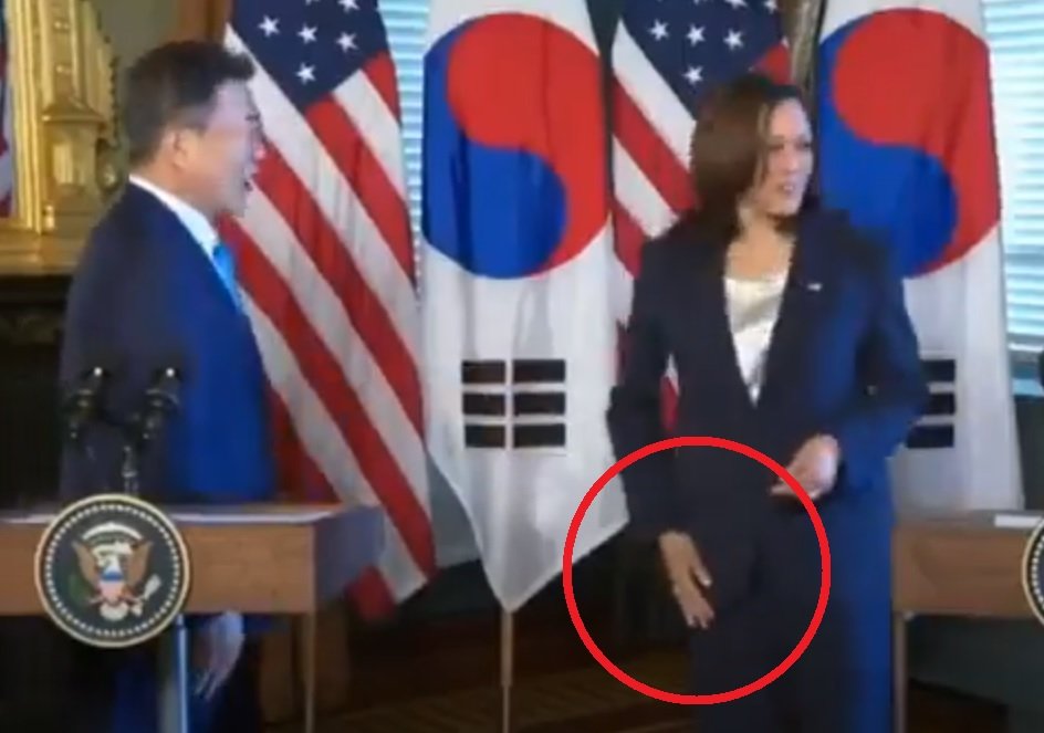 What a Sideshow: Rude Kamala Insults South Korean Leader – Shakes His Hand Then Wipes It On Her Pantsuit (VIDEO)