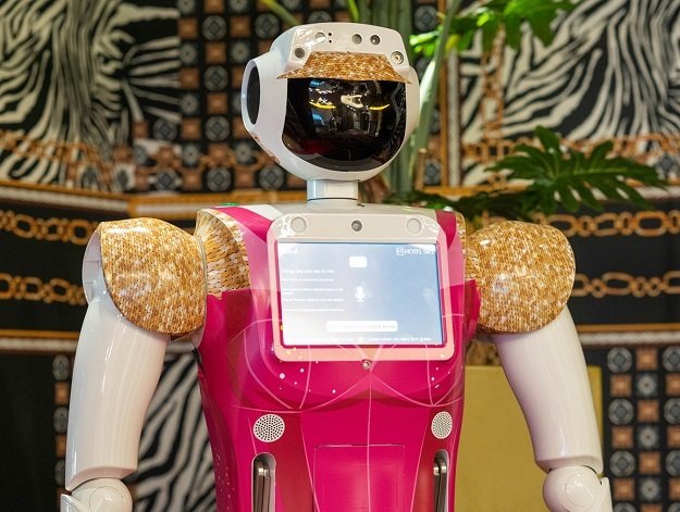 South Africa: Joburg hotel deploys robots for room service, queries in bid to curb Covid-19 spread