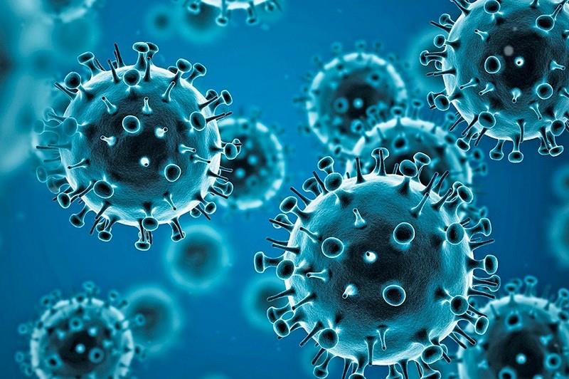 The pandemic virus that doesn’t exist
