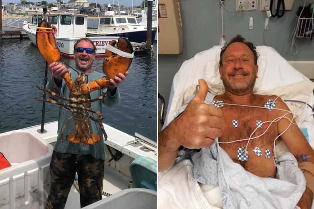 Lobster diver says he was swallowed by humpback whale near Cape Cod