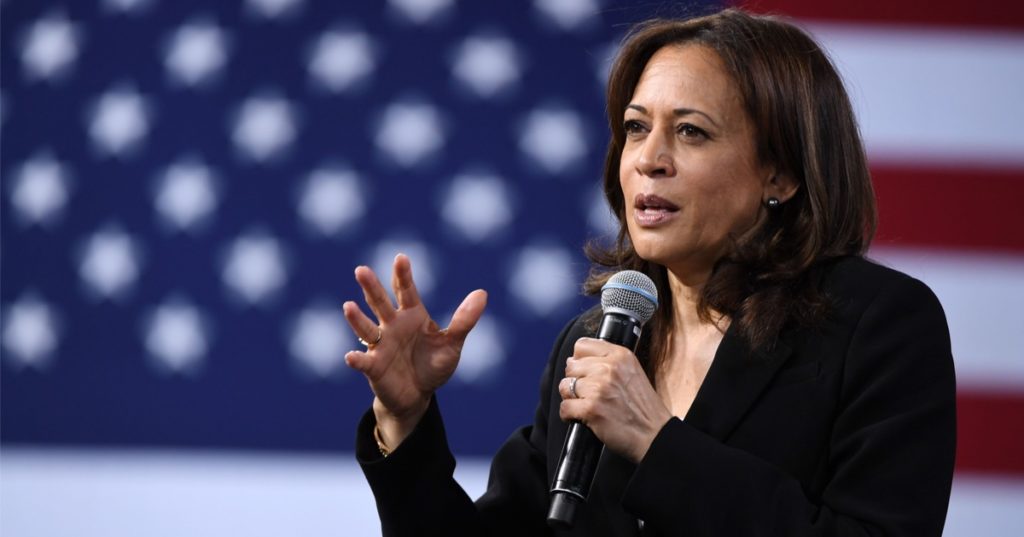VP Harris loses media allies as she continues to fumble on border crisis: Report