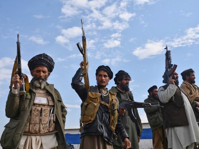 Report: Afghanistan Is Asking Local Militias to Fight Taliban