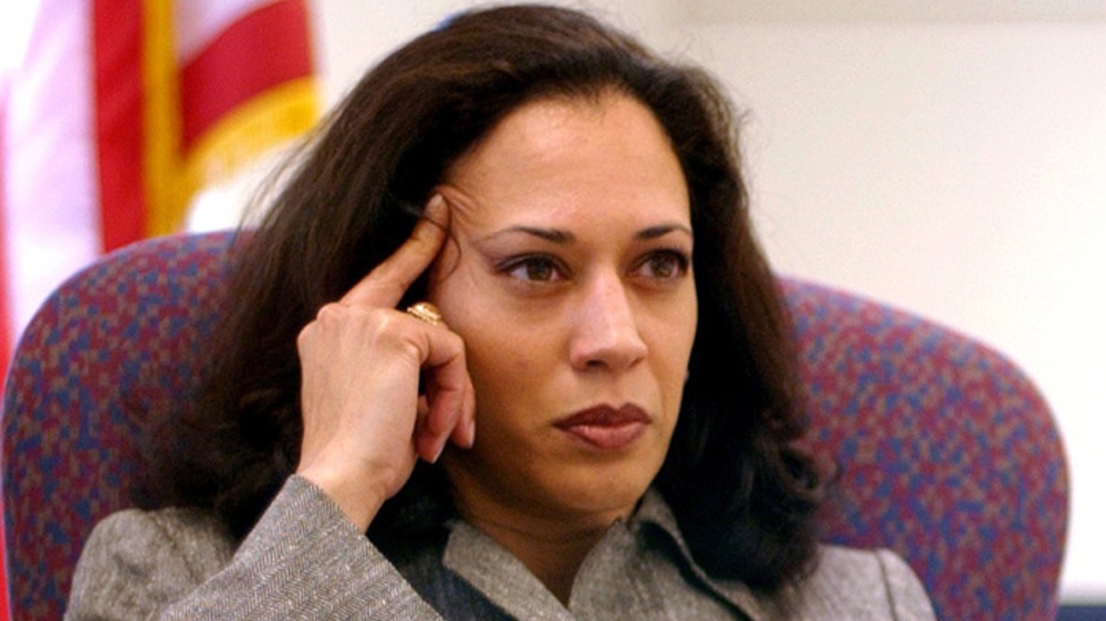 Voter Fraud Czar: Kamala Harris Tapped to Destroy Any Remnants of Election Integrity in America