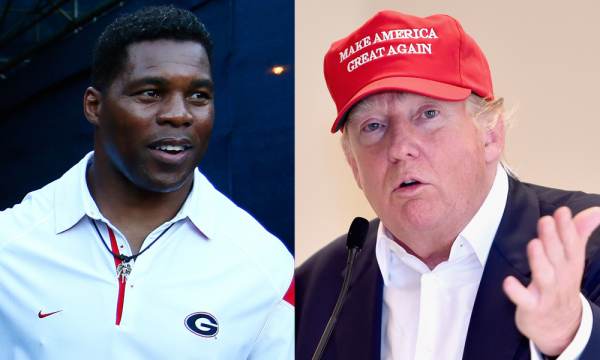 Dirtbag RINOs Thune and Cornyn Urge Trump Favorite Herschel Walker Not to Run for Some Reason When He Is a Shoo-in to Win Georgia Senate Seat
