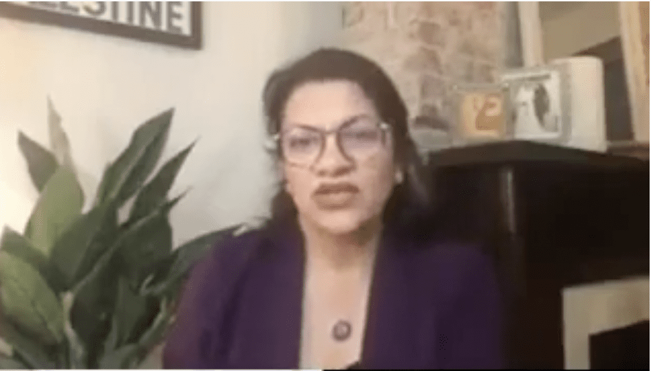 Rep Rashida Tlaib Puts LEGAL Americans Last: “We Must Eliminate Funding For CBP, ICE & Their Parent Organization DHS”
