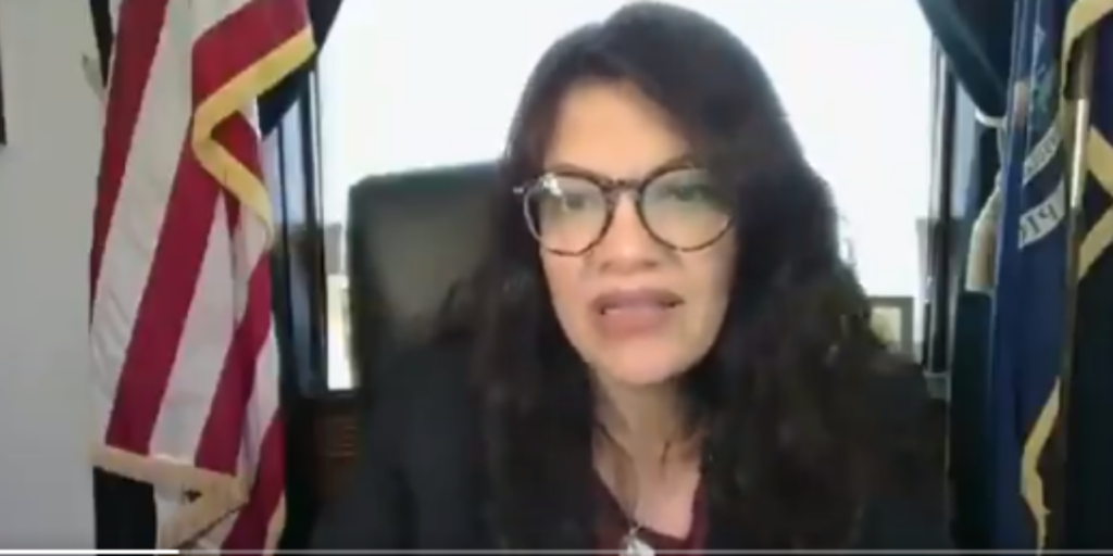 WATCH: Rep. Tlaib talks about how she also wants a 'civilian climate corps'